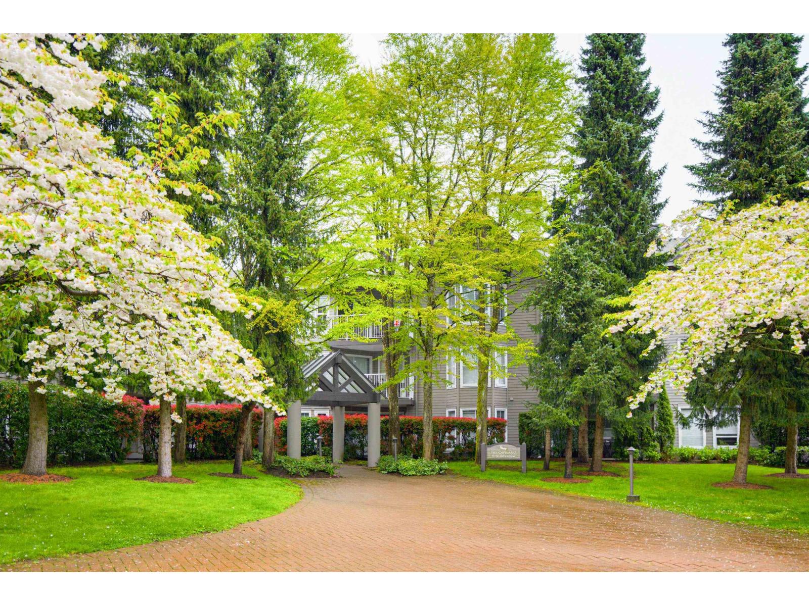 206 15150 108 AVENUE Surrey British Columbia Canada Sale residential   HomeLife Benchmark Realty Corp.
