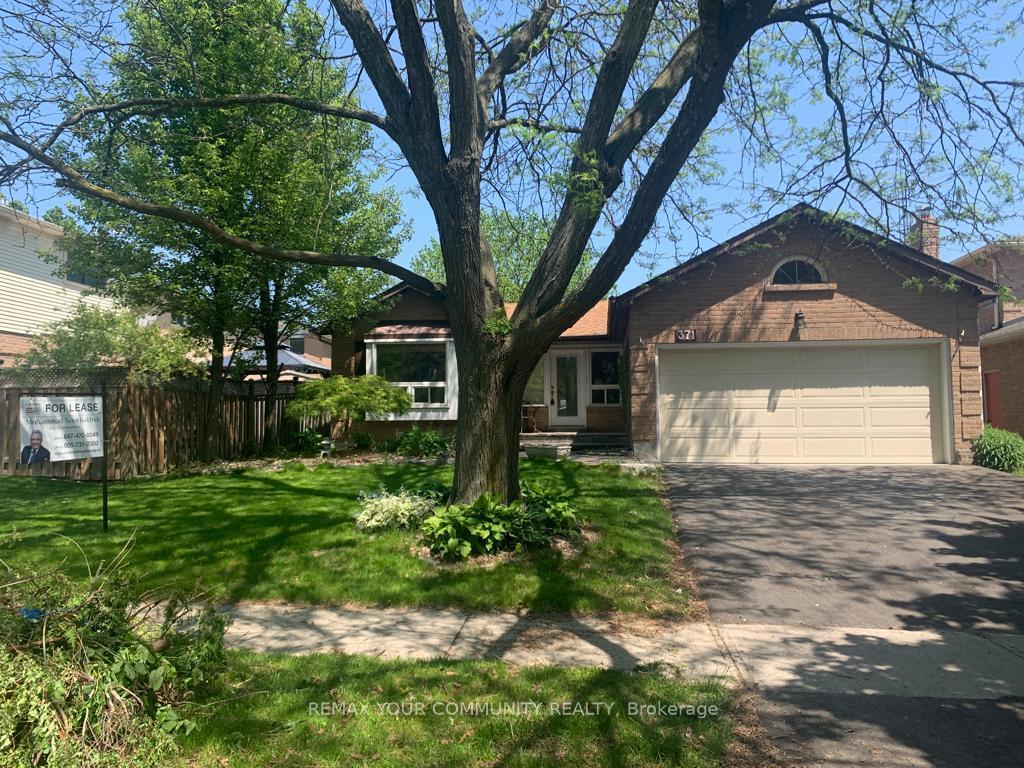 Basement - 371 Selby Crescent Newmarket Ontario Canada Rent residential Terry Jung Re/Max Your Community Realty, Brokerage *