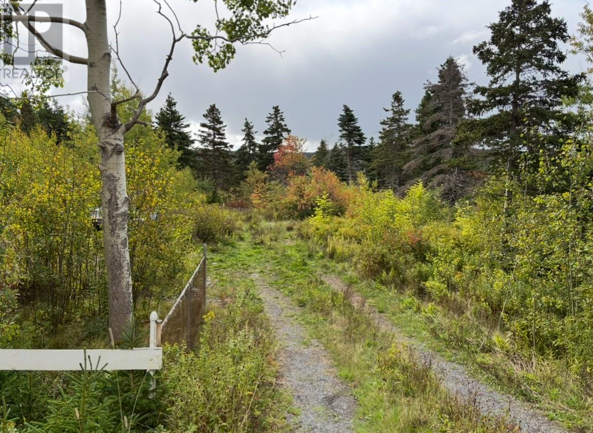 48-50 East Highway Victoria Newfoundland And Labrador Canada Sale residential Gennie Rose BlueKey Realty Inc.