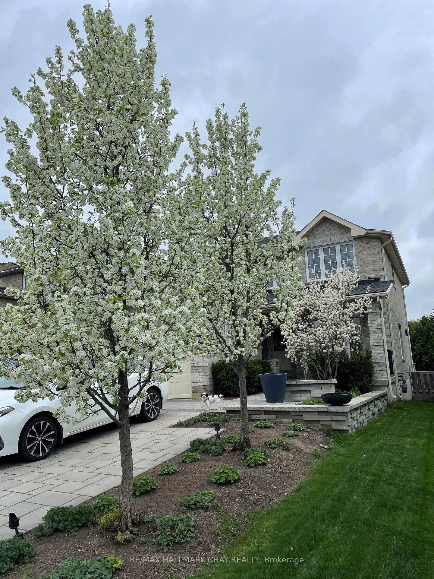 12 Muir Drive Barrie Ontario Canada Sale residential Jason Gavadza Keller Williams Referred Urban Realty, Brokerage*