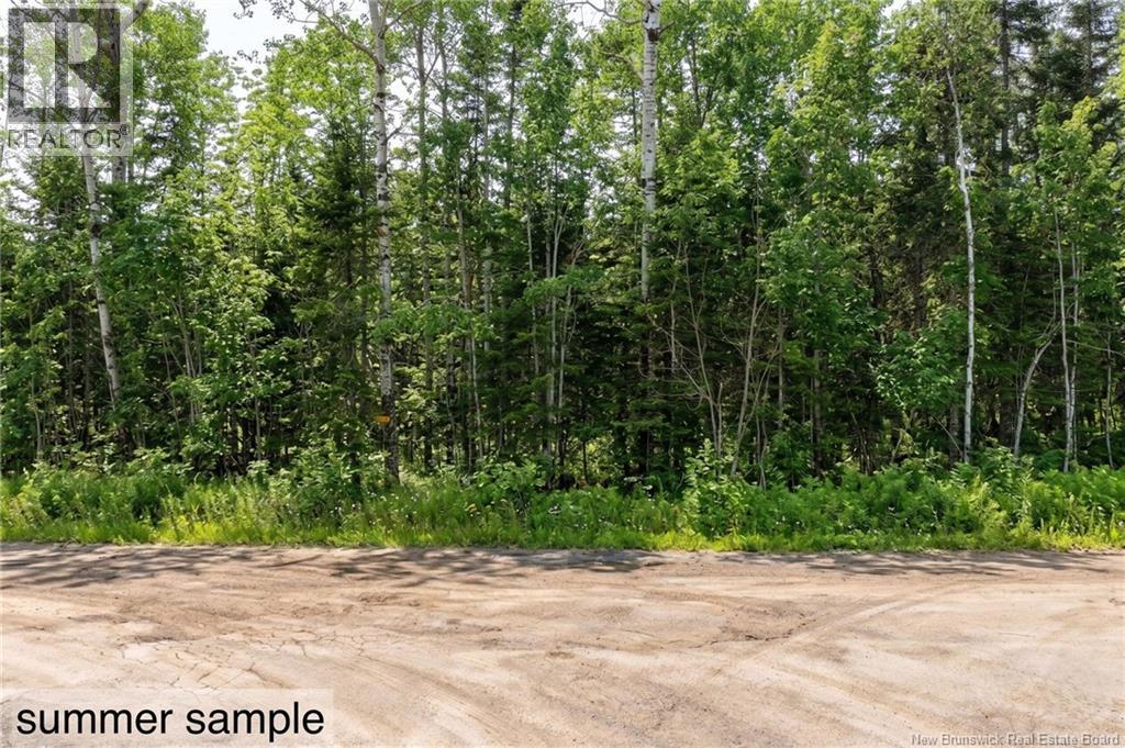 Lot Newport Drive Boundary Creek New Brunswick Canada Sale residential Jocelyne LeBlanc RE/MAX AVANTE