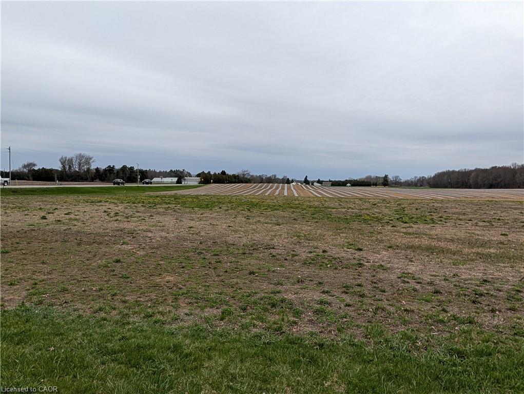 LOT 1 Norfolk County Rd 21  Delhi Ontario Canada Sale residential   T.L. WILLAERT REALTY LTD. BROKERAGE*