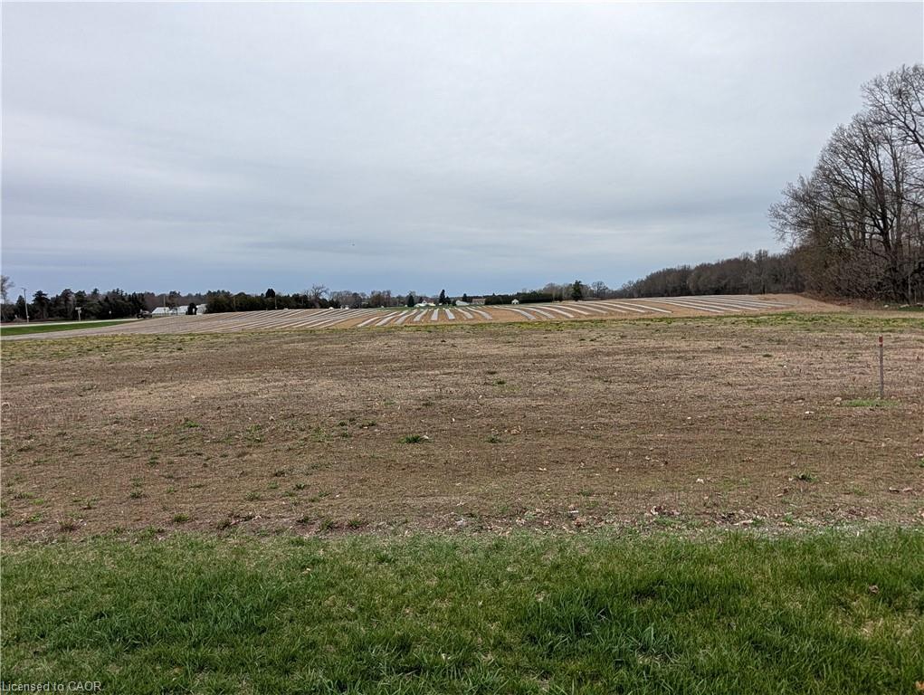 LOT 3 Norfolk County Rd 21  Delhi Ontario Canada Sale residential   T.L. WILLAERT REALTY LTD. BROKERAGE*