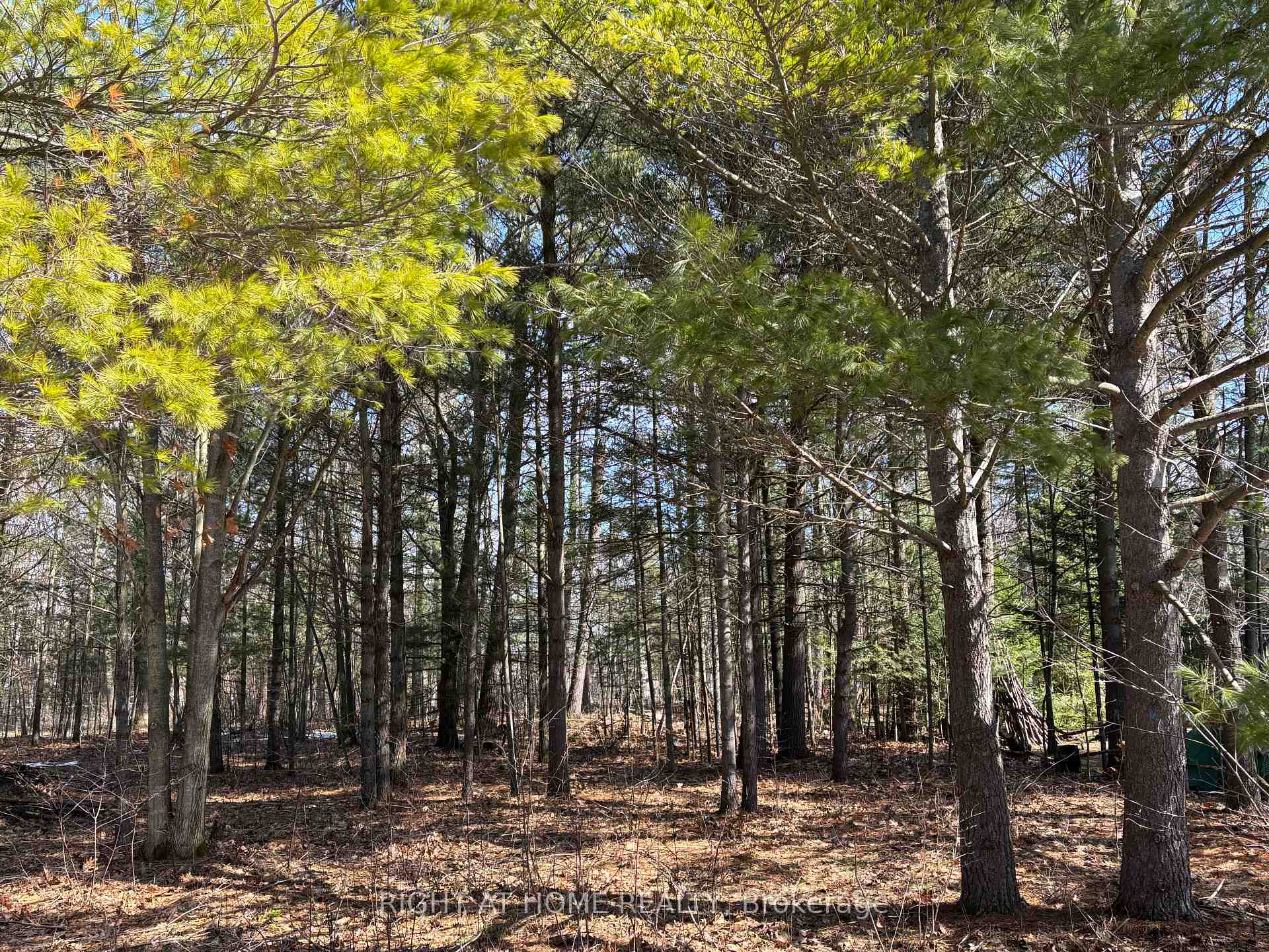 137 NICOLE Boulevard Tiny Ontario Canada Sale residential   Right at Home Realty, Brokerage