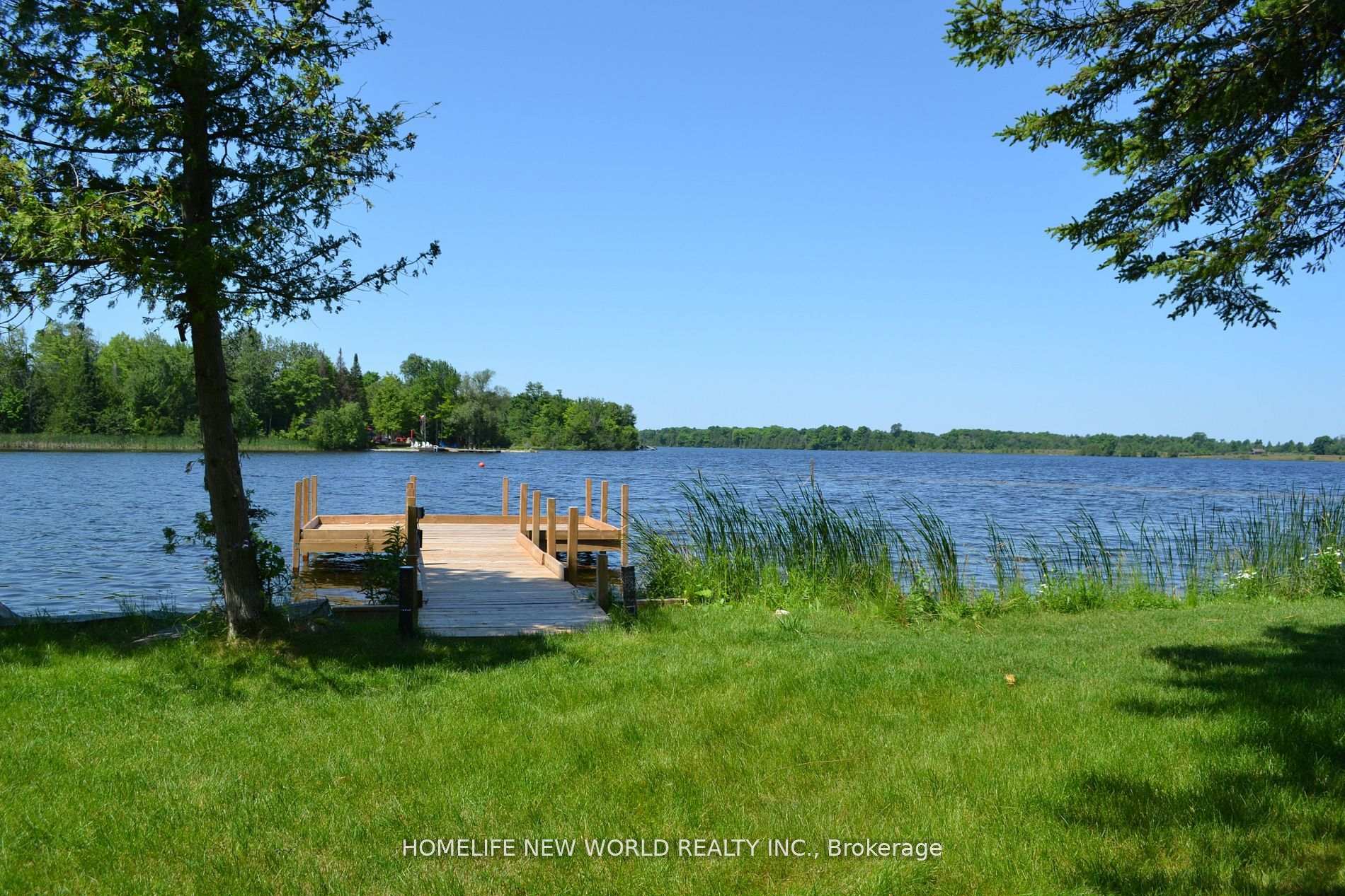 1391 Portage Road Kawartha Lakes Ontario Canada Sale residential   HomeLife New World Realty Inc., Brokerage*