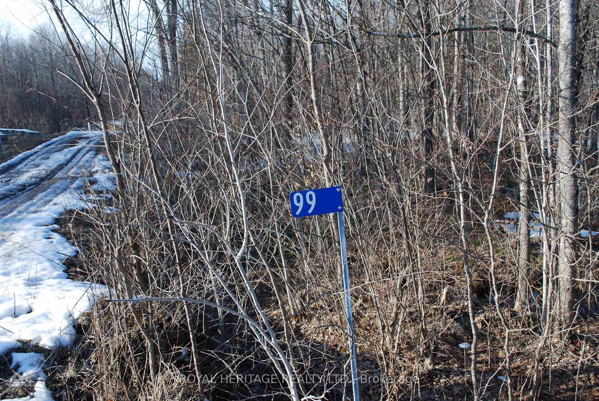 99 Future Lane Stirling-Rawdon Ontario Canada Sale residential Bruce Carnegie Royal Heritage Realty Ltd., Brokerage*