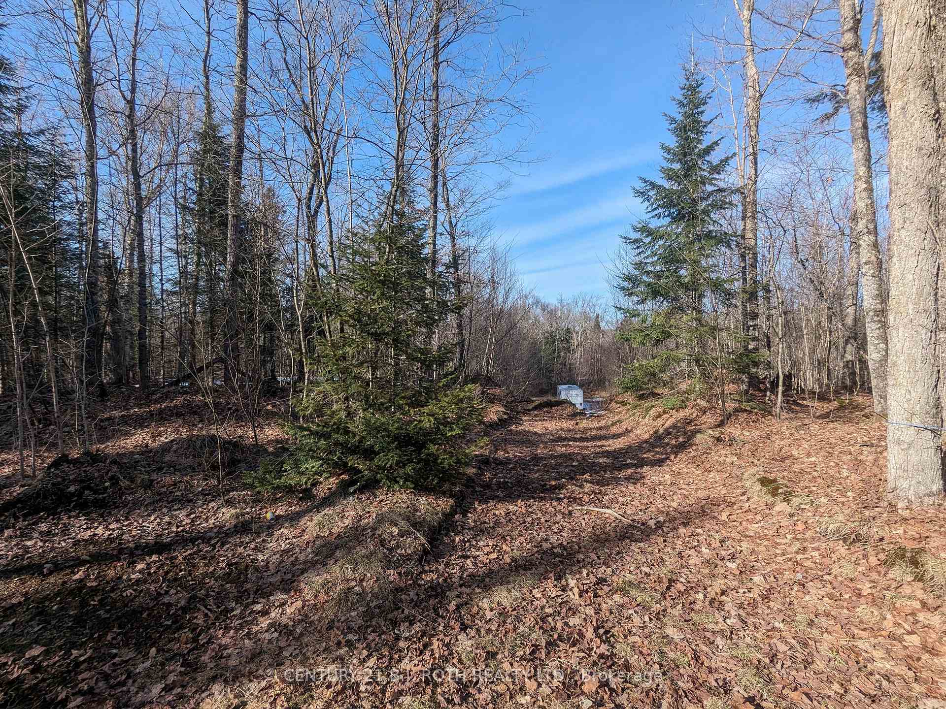11146 Highway 118 Algonquin Highlands Ontario Canada Sale residential Igor Vujovic Century 21 B.J. Roth Realty Ltd