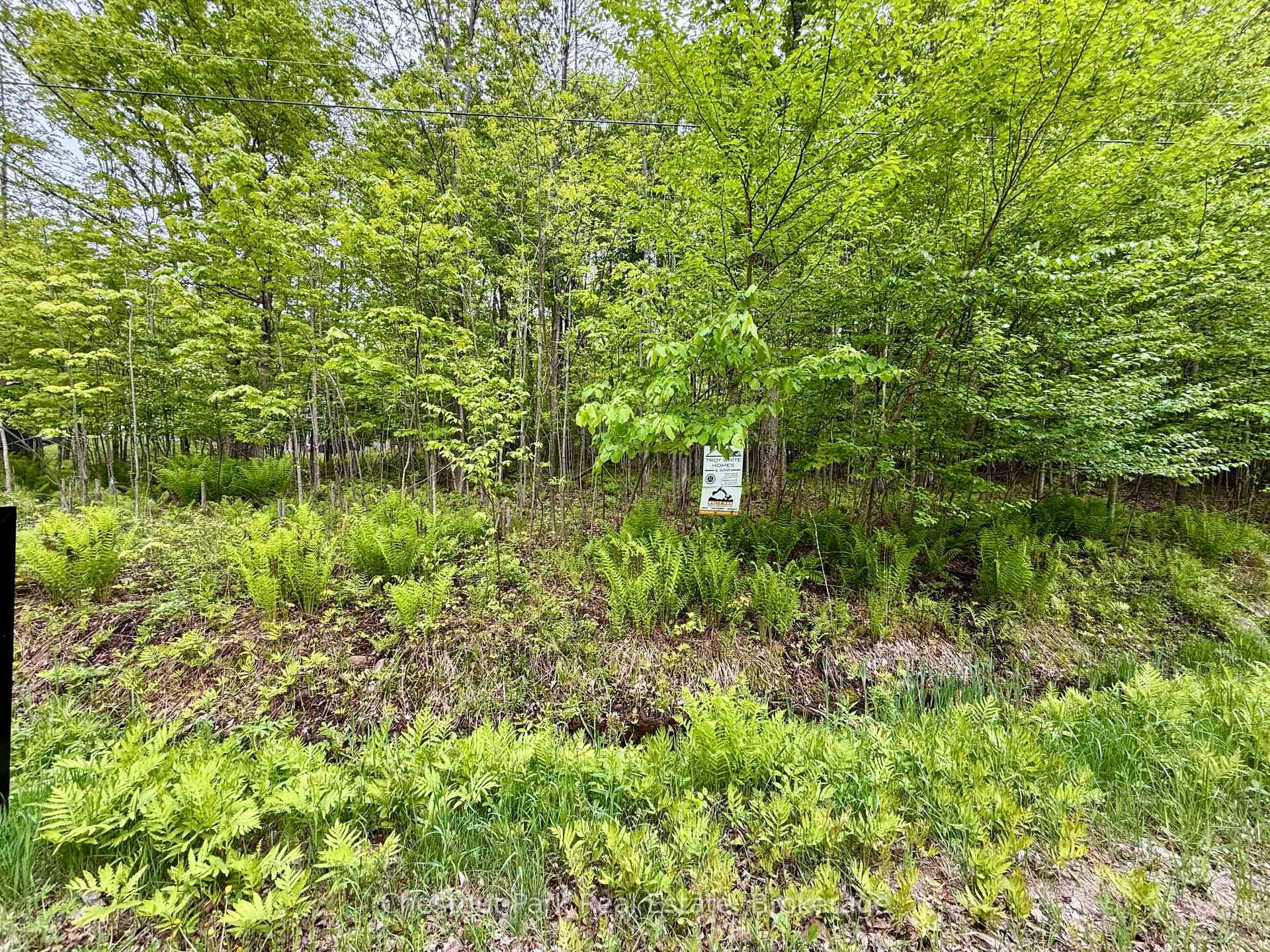 4 Bedroom Single Family Home/House's Image 5