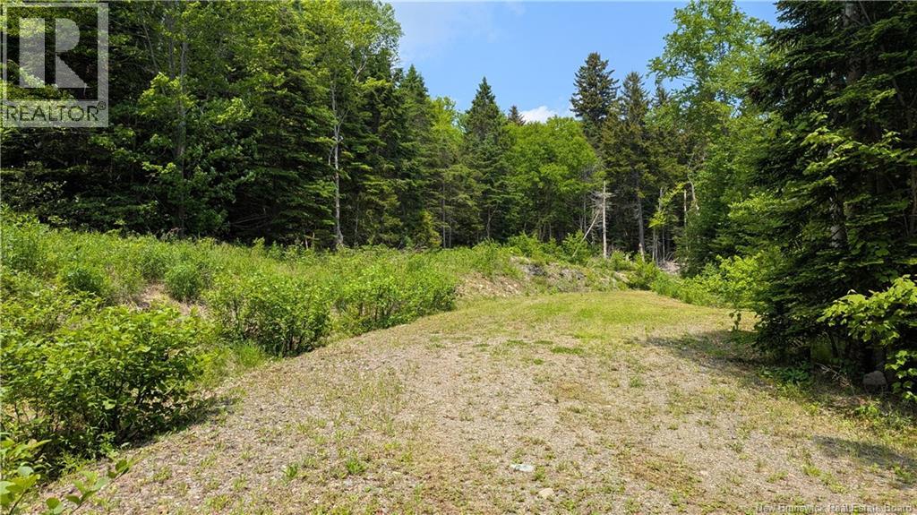 15 Foley Lane Summerville New Brunswick Canada Sale residential Judy Mitchell RE/MAX PROFESSIONALS SAINT JOHN INC.