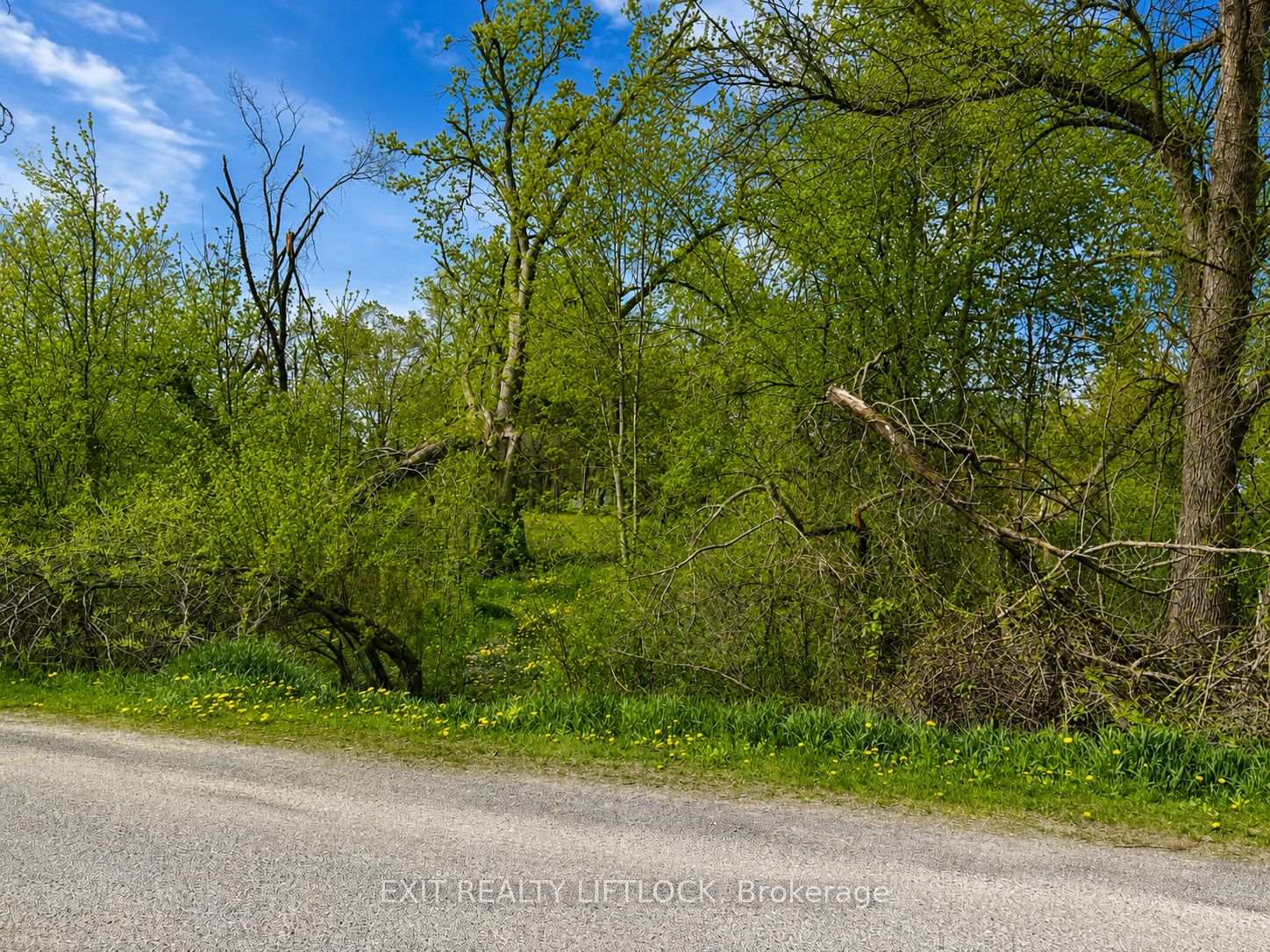 0 Maple Ridge Drive Kawartha Lakes Ontario Canada Sale residential   PD REALTY INC.,  Brokerage