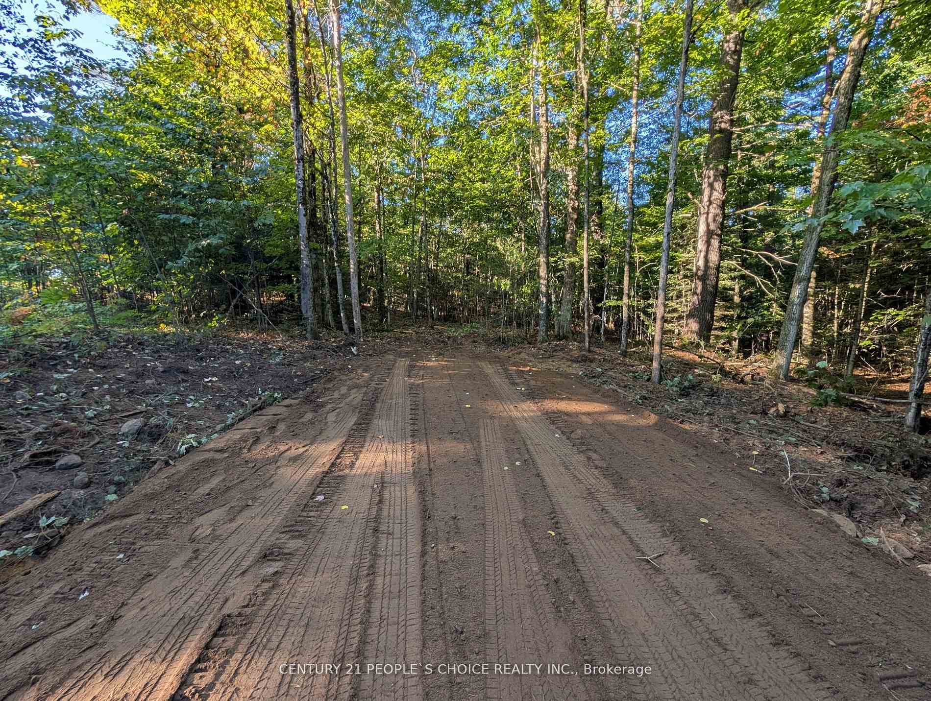 1055 Porkys Road Minden Hills Ontario Canada Sale residential Chabi Ori Century 21 People's Choice Realty Inc., Brokerage *