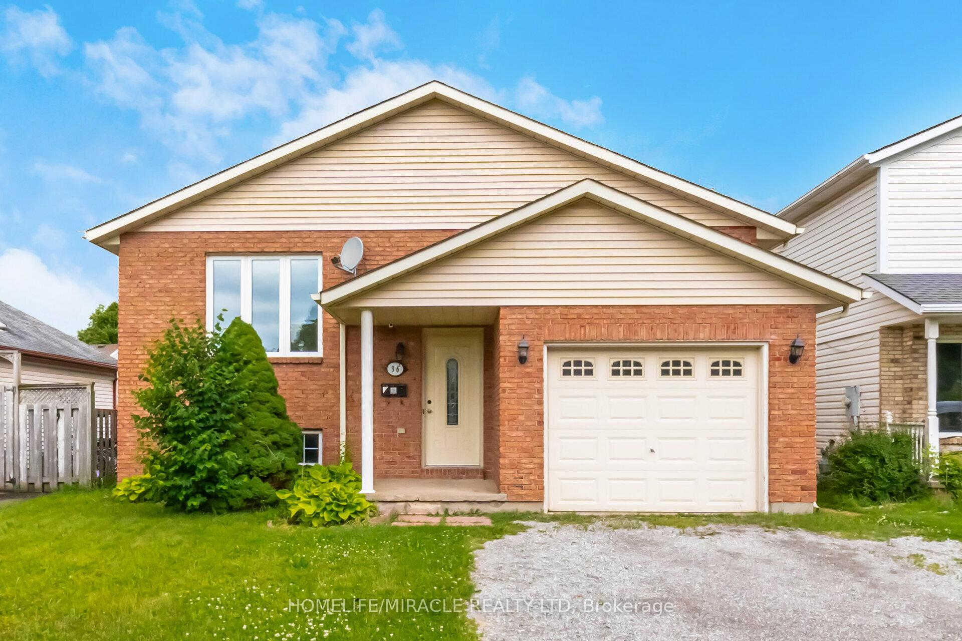 Bsmt - 36 Poplar Crescent Welland Ontario Canada Rent residential Shah Zaman HomeLife/Miracle Realty Ltd, Brokerage *
