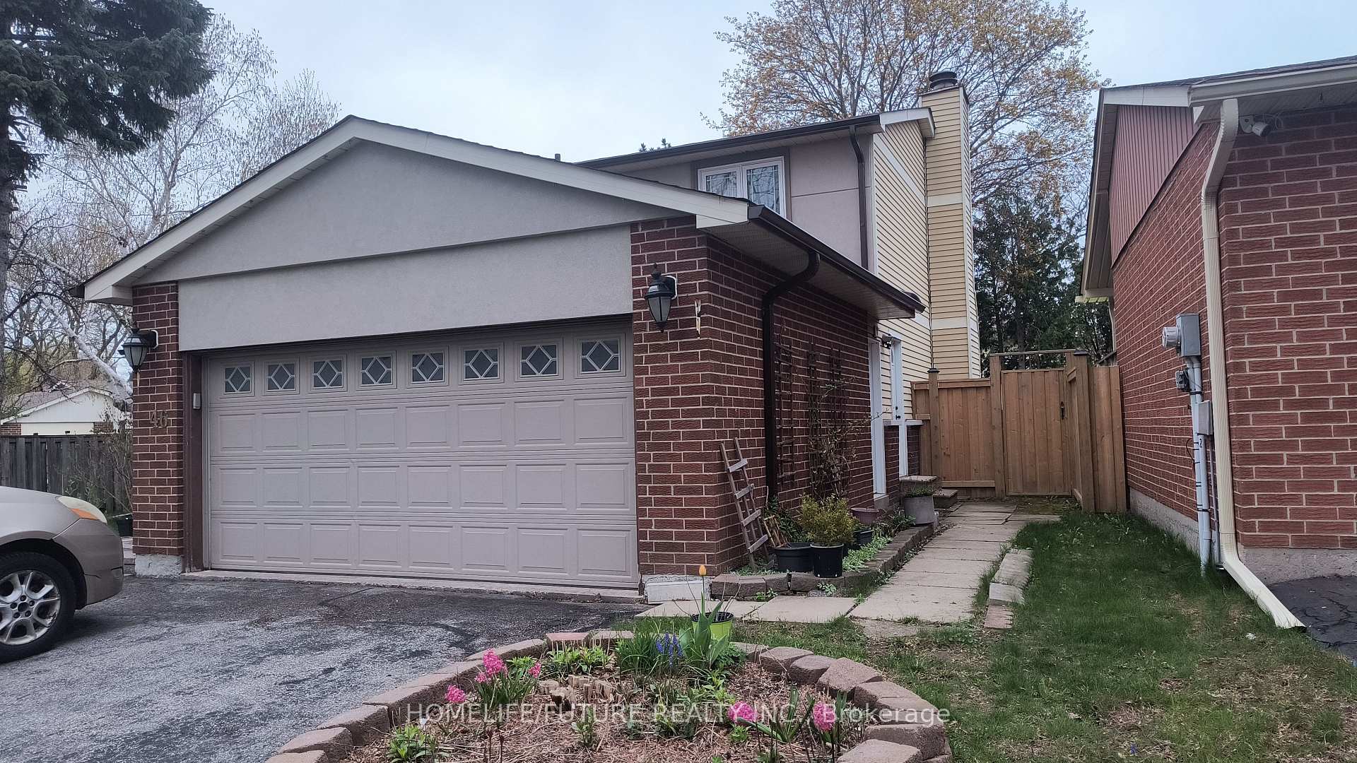 Bsmt - 46 Blacktoft Drive Toronto Ontario Canada Rent residential Siva Shanmuganathan HomeLife/Future Realty Inc., Brokerage*