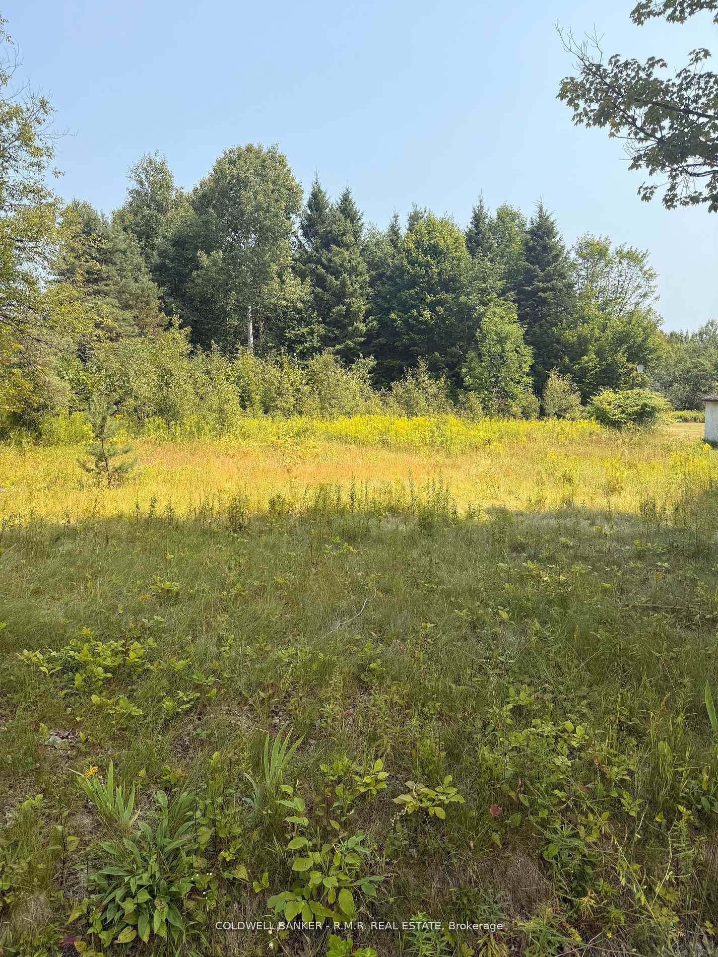 3995 Boulter Road Carlow/Mayo Ontario Canada Sale commercial   Coldwell Banker - R.M.R. Real Estate