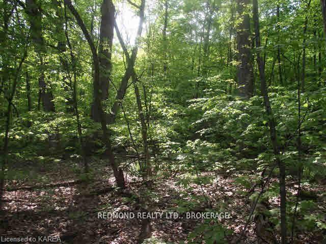 2402 46 Road Elizabethtown-Kitley Ontario Canada Sale residential   Redmond Realty Ltd. Brokerage