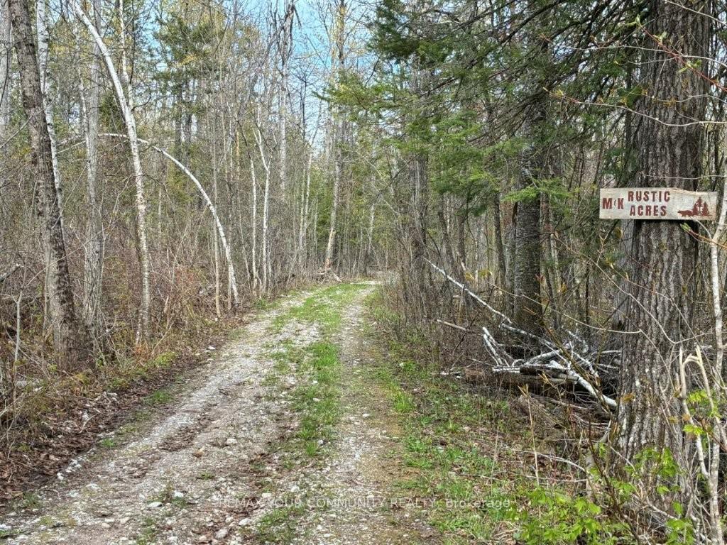 PT LOT 20 Bessie Avenue N Trent Lakes Ontario Canada Sale residential Opal Hustins, ASA, AEA Re/Max YOUR COMMUNITY REALTY