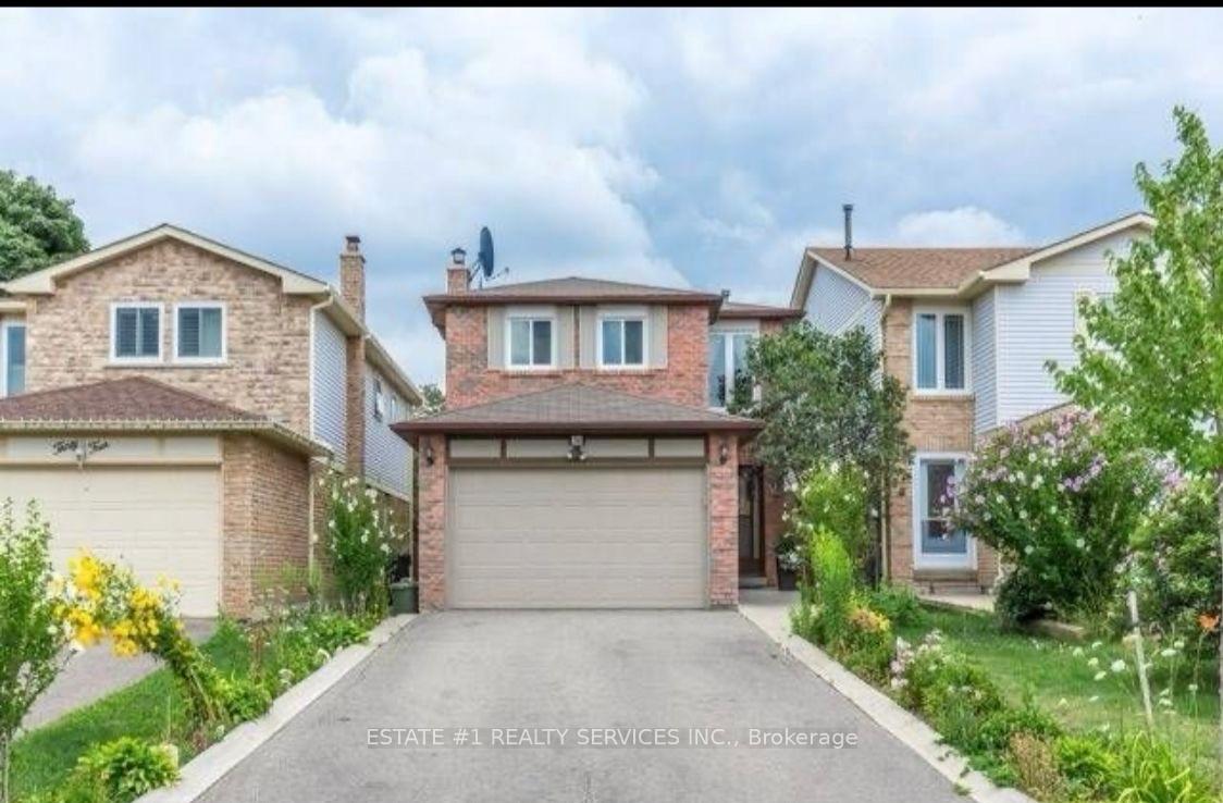 BSMNT - 36 Dafoe Crescent E Brampton Ontario Canada Rent residential   HomeLife 247 Realty Inc.,  Brokerage*