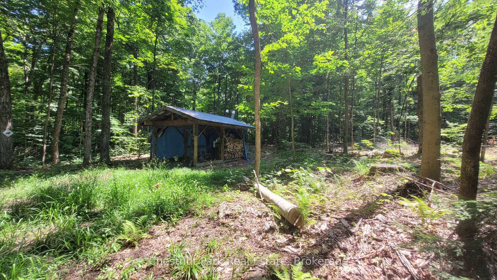 1 Bedroom Single Family Home/House's Image 3
