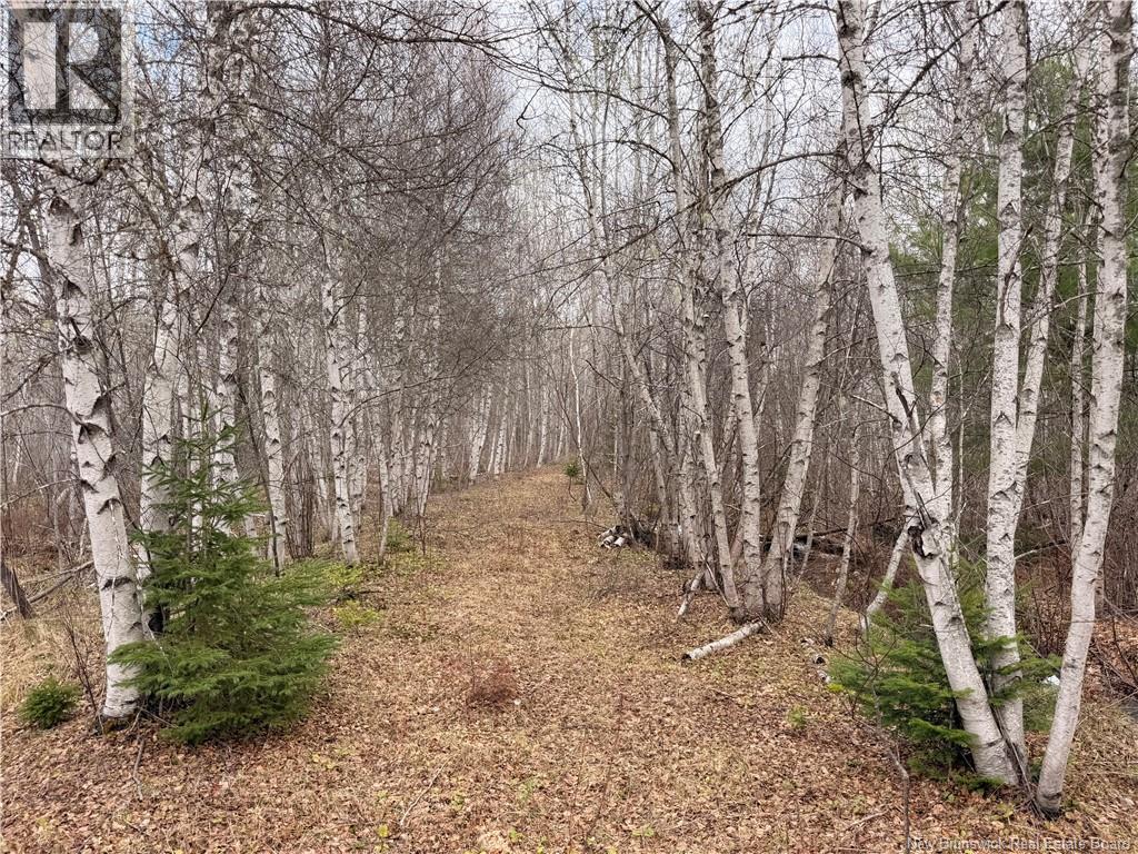 Lots McLaughlin Road Pine Ridge New Brunswick Canada Sale residential EXIT Realty Associates