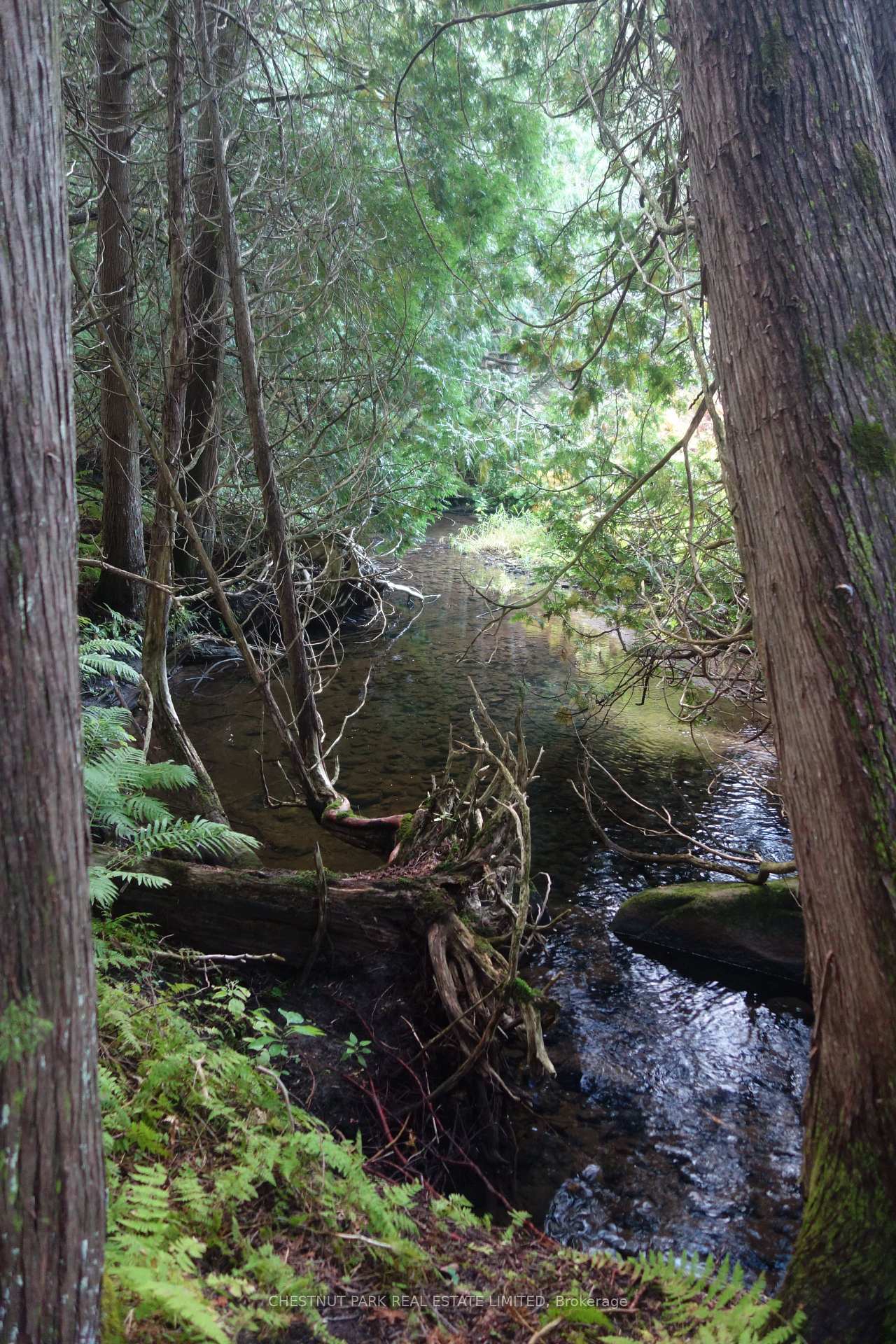 Land/Vacant Land's Image 37