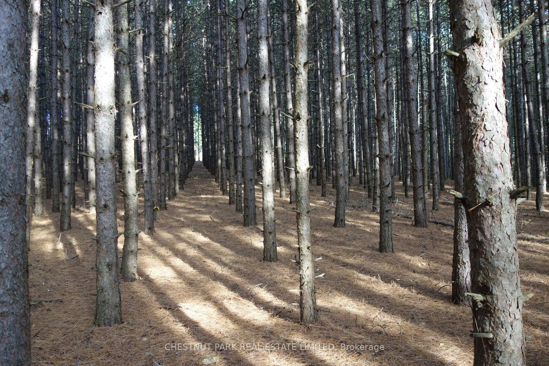Land/Vacant Land's Image 36