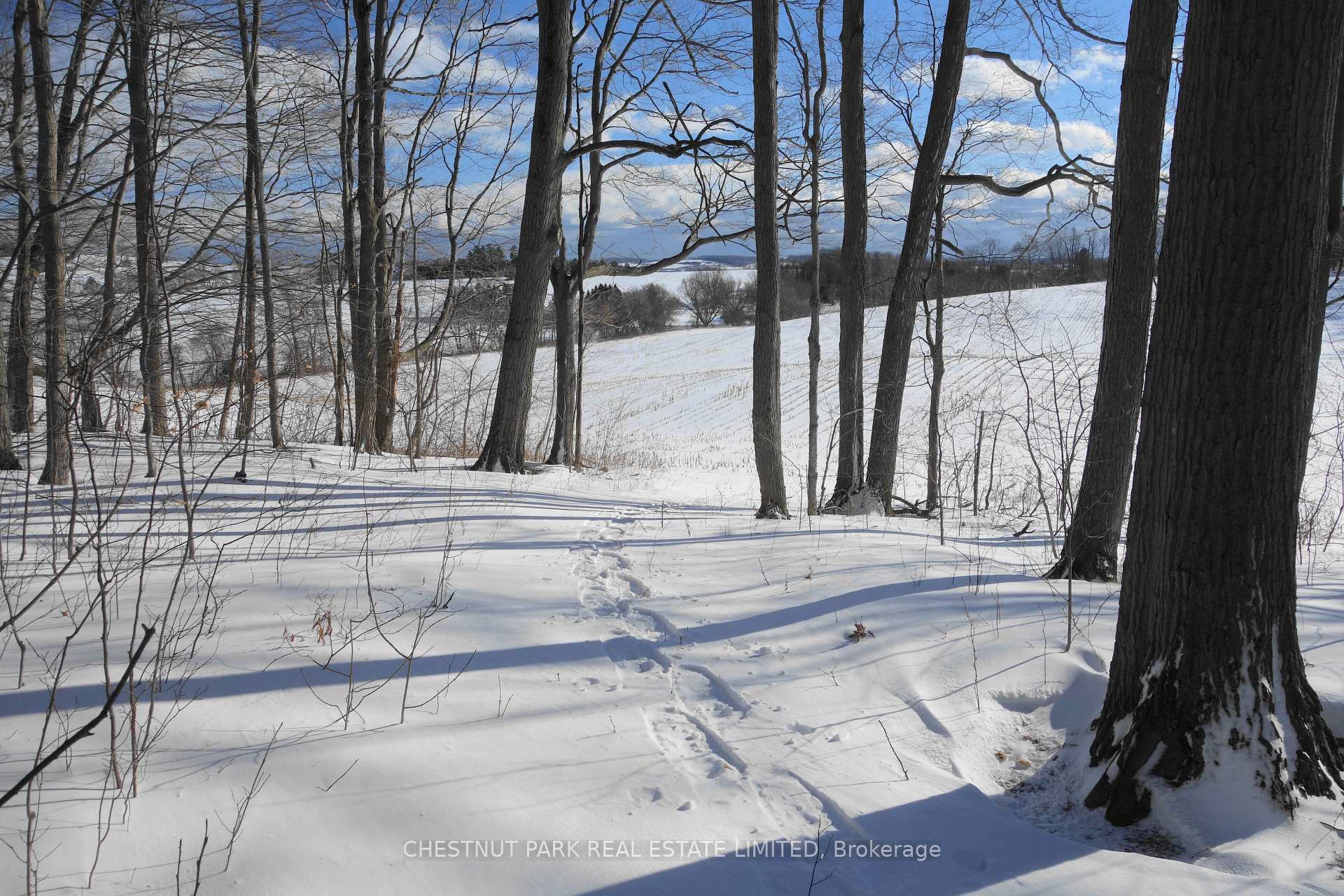 Land/Vacant Land's Image 34