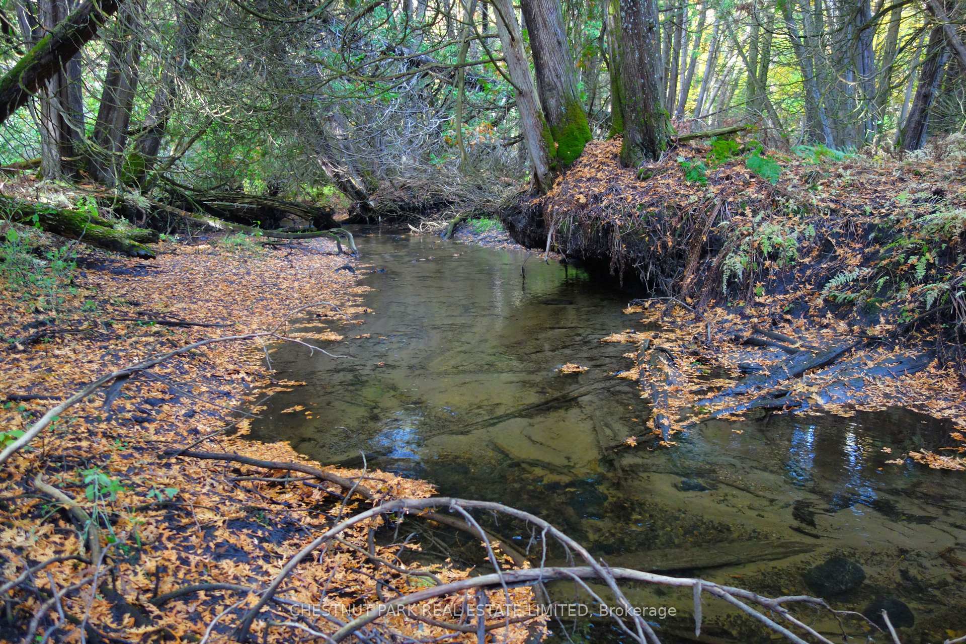 Land/Vacant Land's Image 29