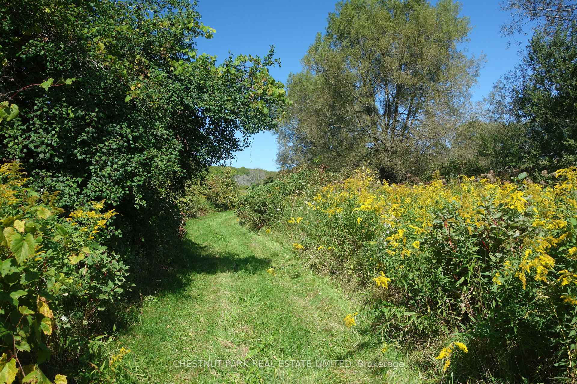 Land/Vacant Land's Image 27