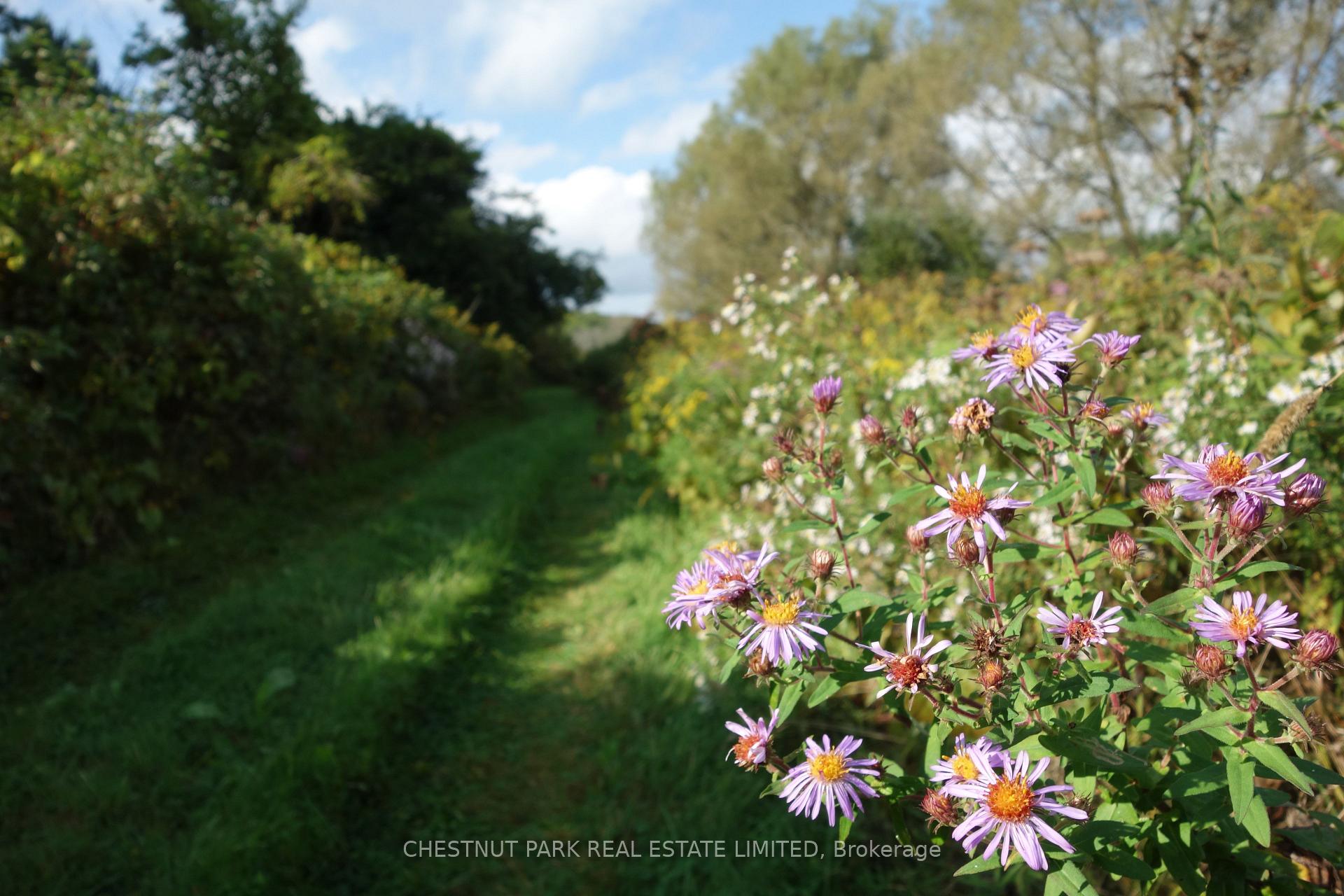 Land/Vacant Land's Image 26