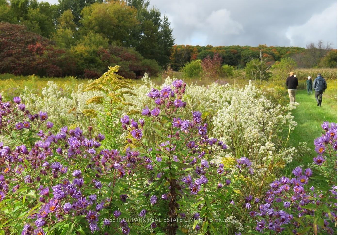 Land/Vacant Land's Image 25