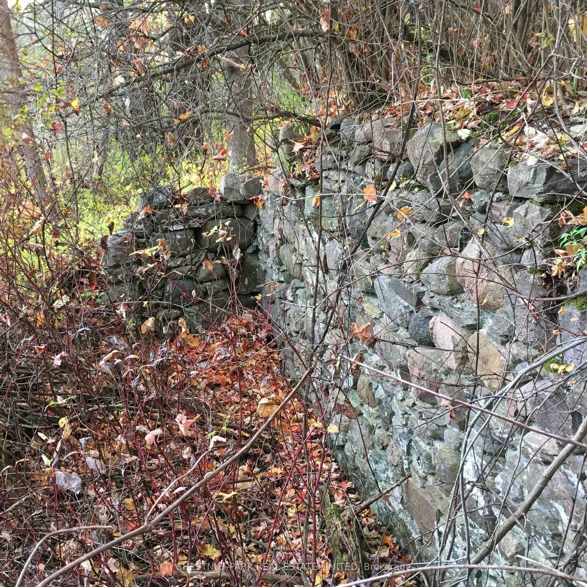 Land/Vacant Land's Image 22