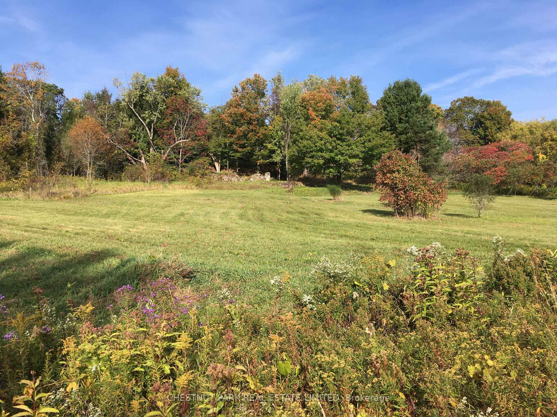 Land/Vacant Land's Image 23