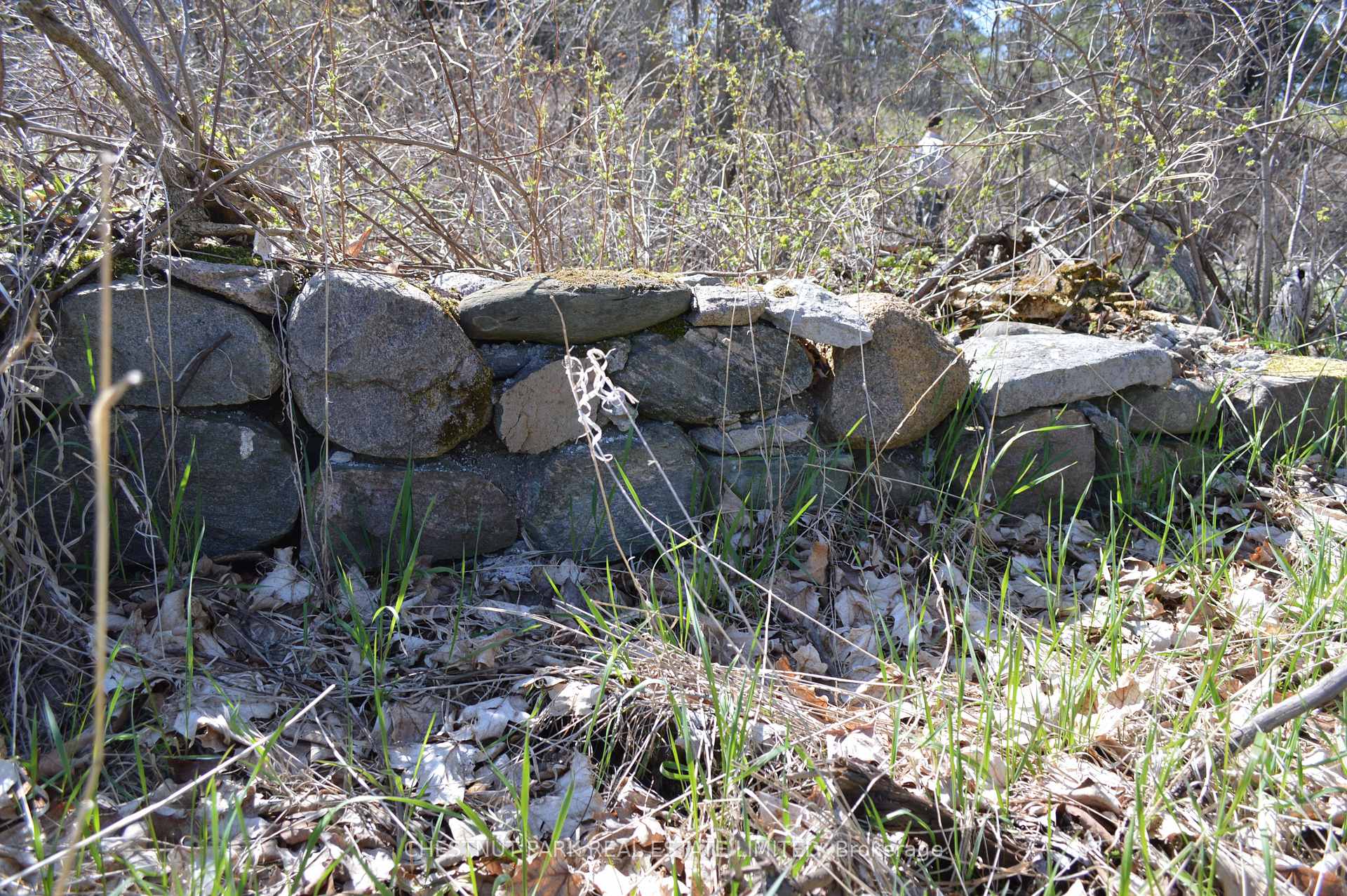 Land/Vacant Land's Image 21