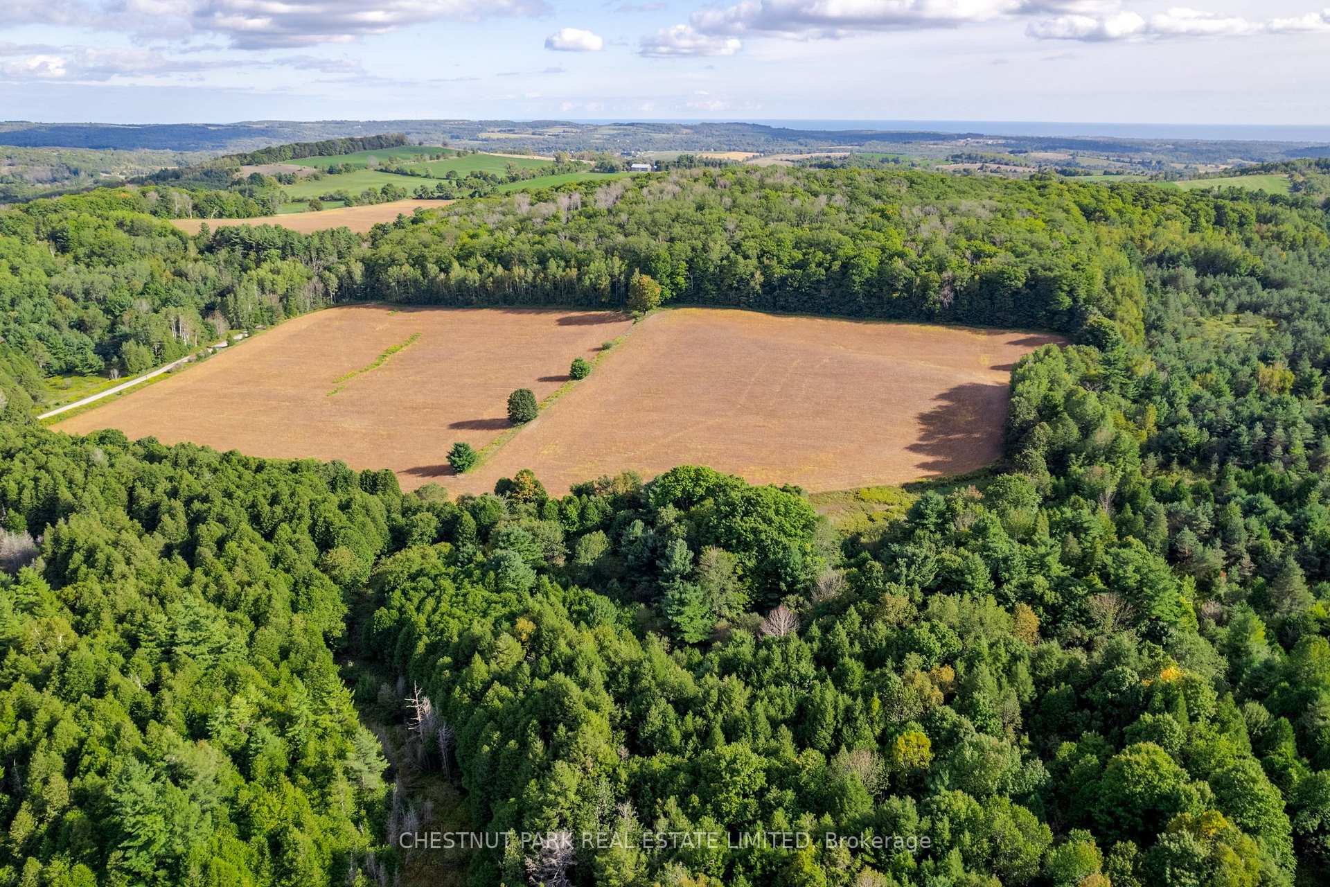 Land/Vacant Land's Image 17