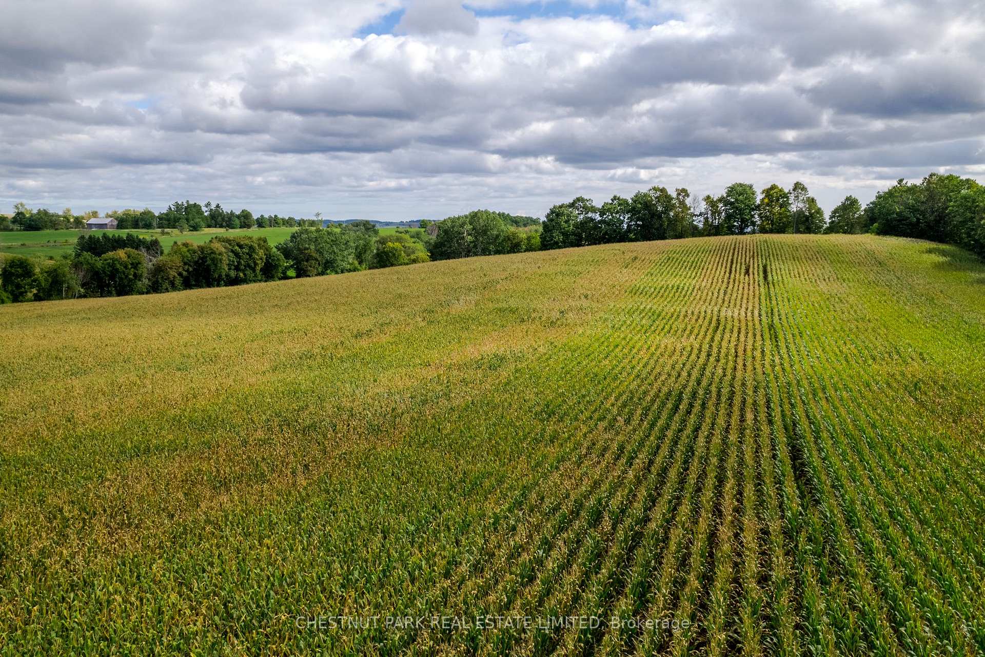 Land/Vacant Land's Image 13