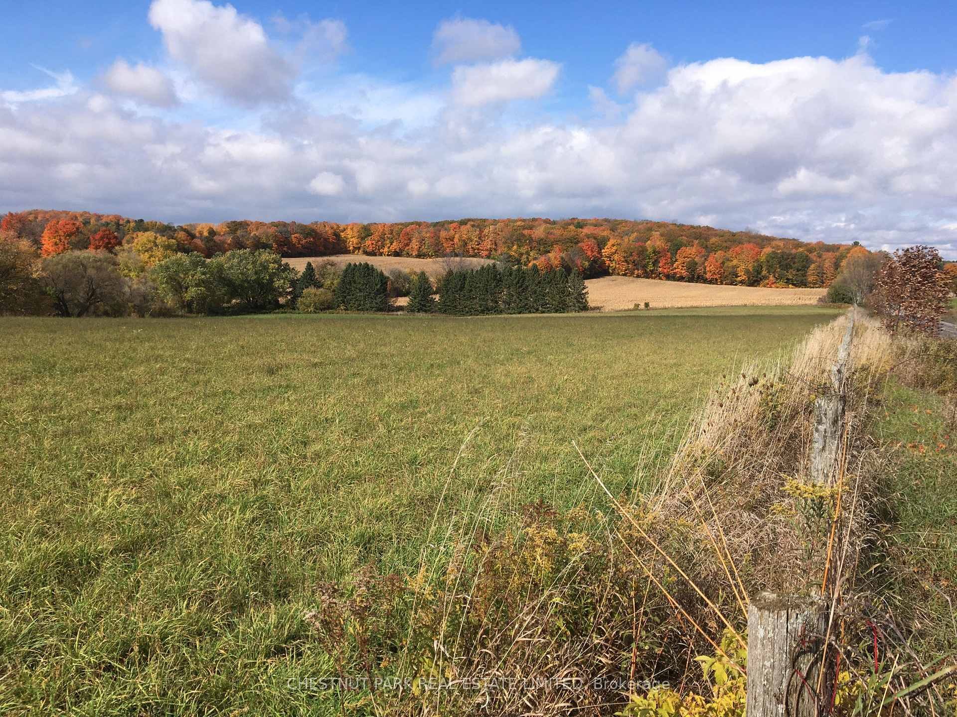 Land/Vacant Land's Image 16
