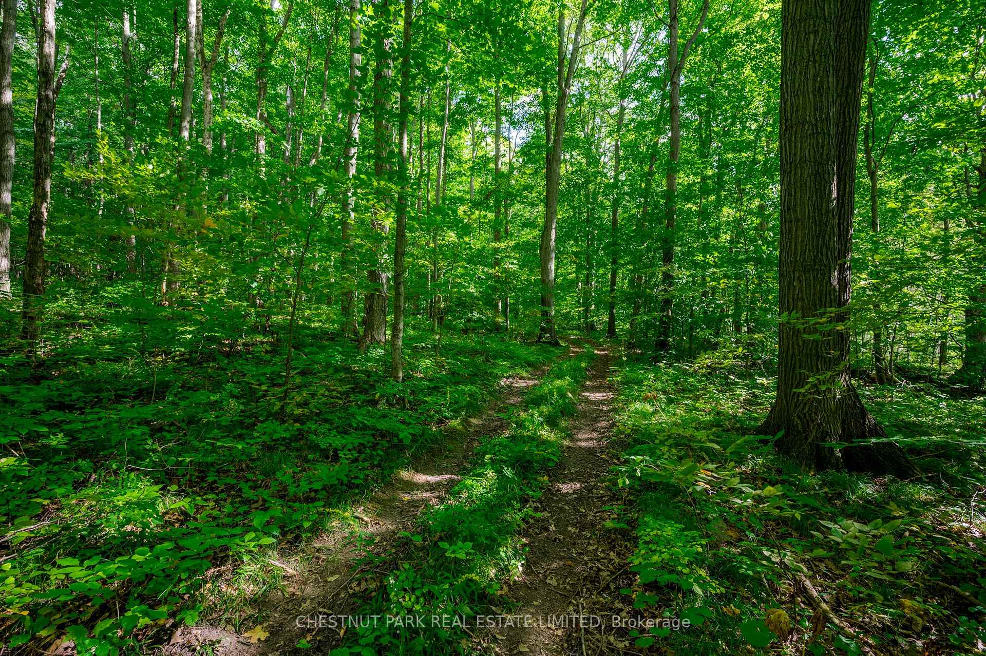 Land/Vacant Land's Image 15