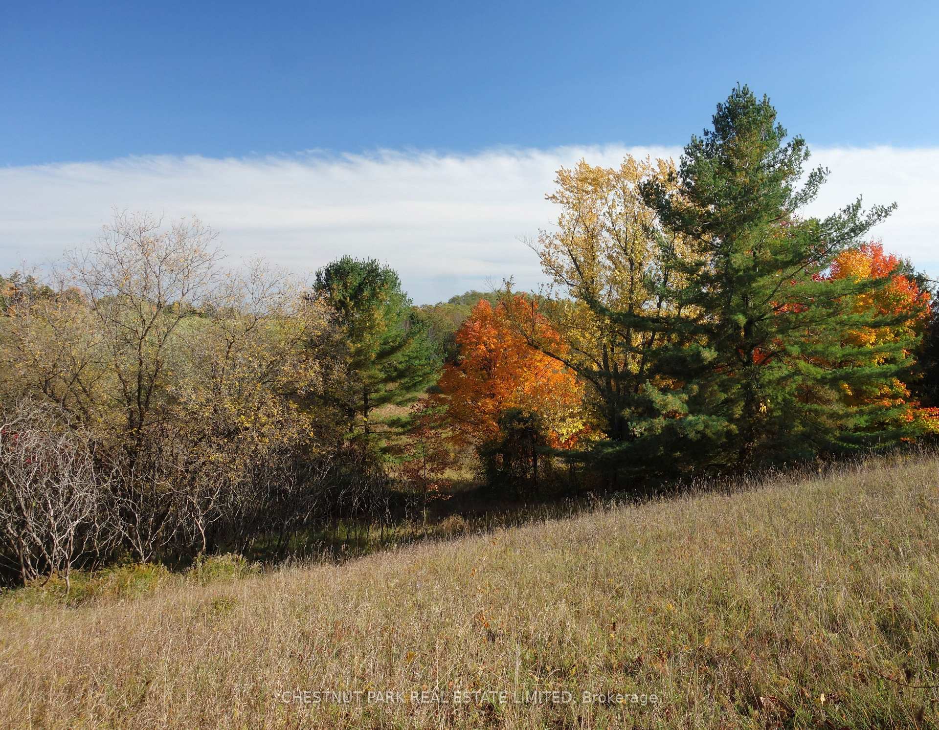 Land/Vacant Land's Image 12
