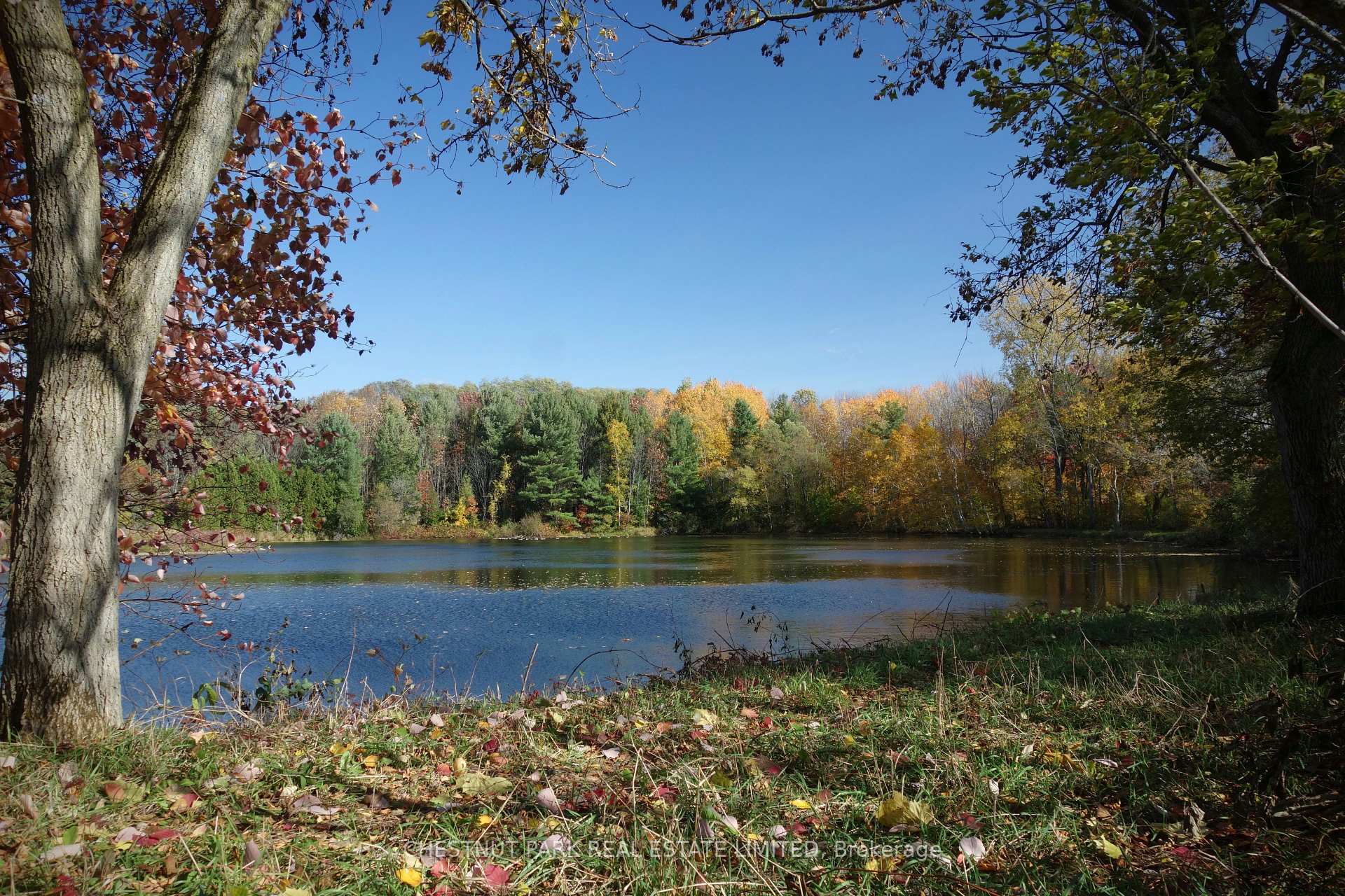 Land/Vacant Land's Image 9