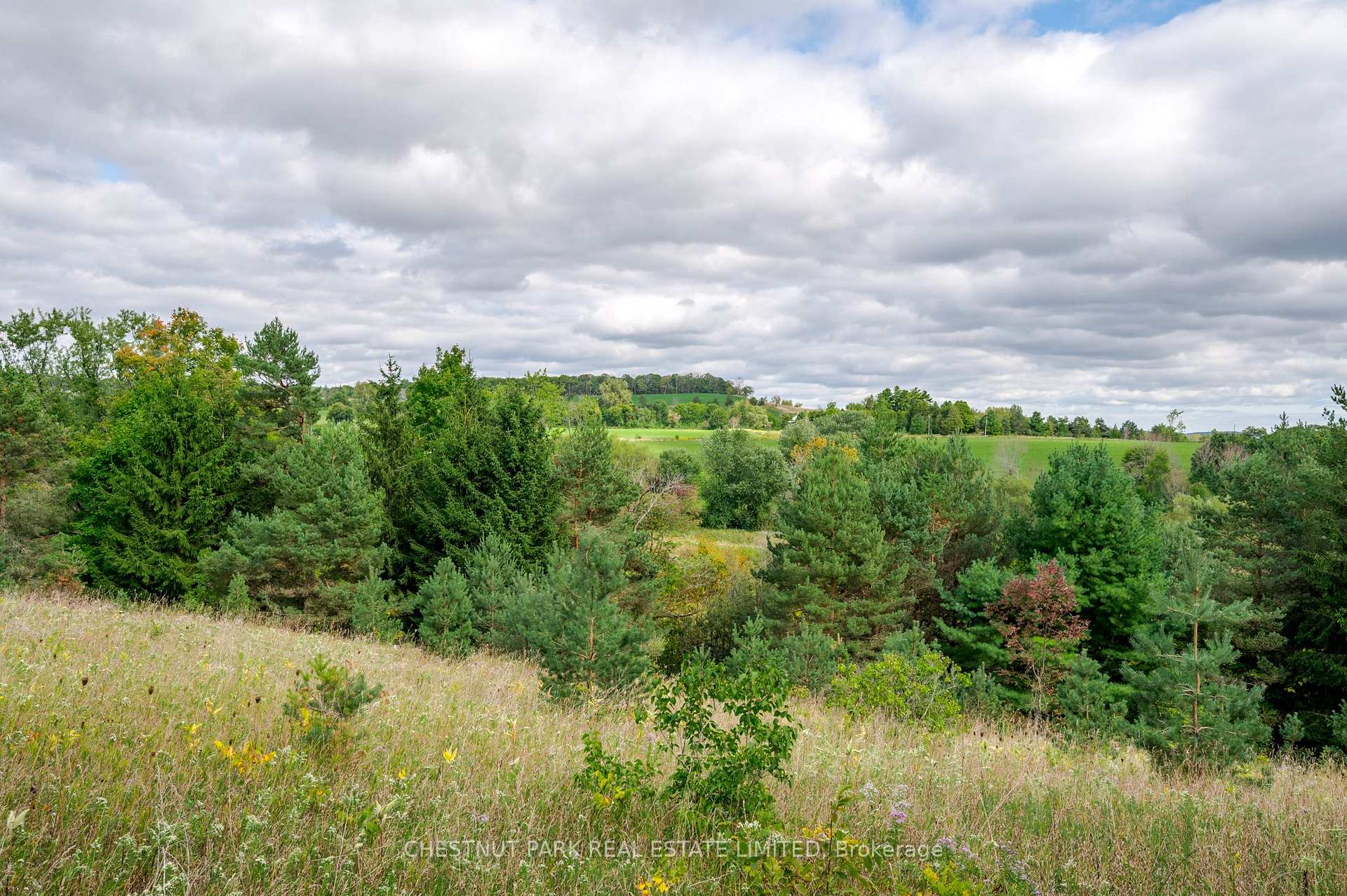 Land/Vacant Land's Image 11