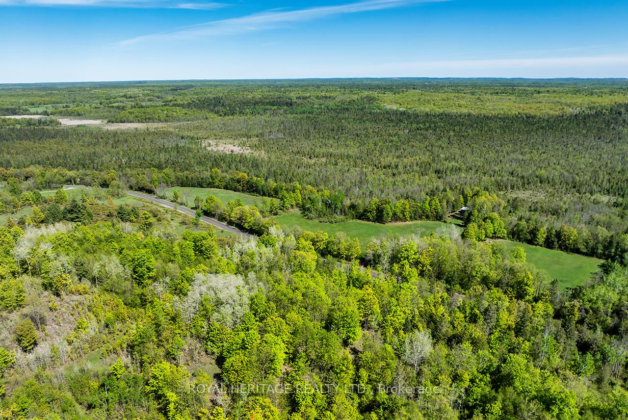 538 Spry Road Stirling-Rawdon Ontario Canada Sale residential Marlee Warner Royal Heritage Realty Ltd., Brokerage*