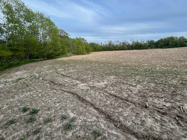 2299 Baseline Road W Clarington Ontario Canada Sale commercial Brian Matthews RE/MAX Realtron Realty Inc., Brokerage *
