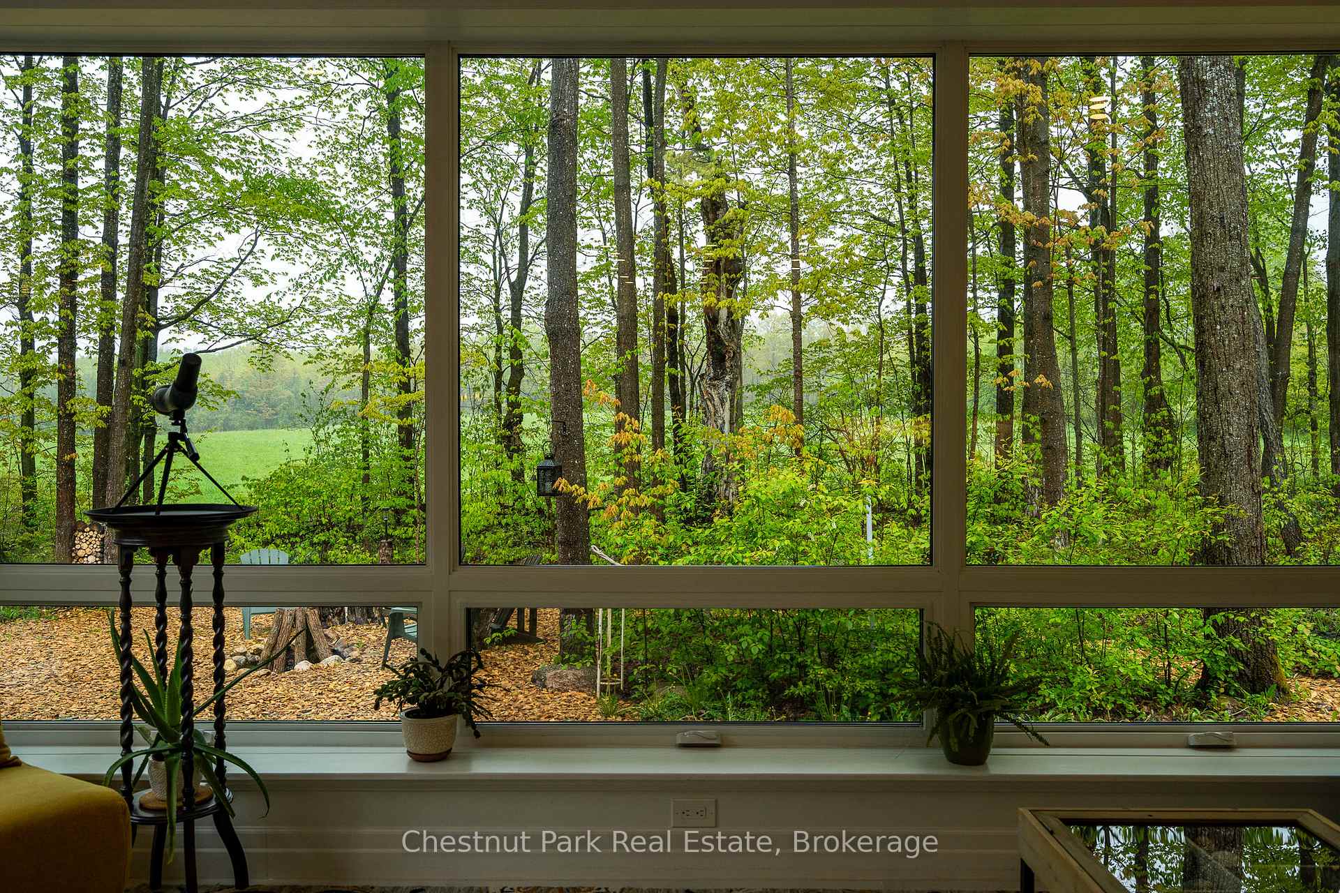 3 Bedroom Single Family Home/House's Image 13