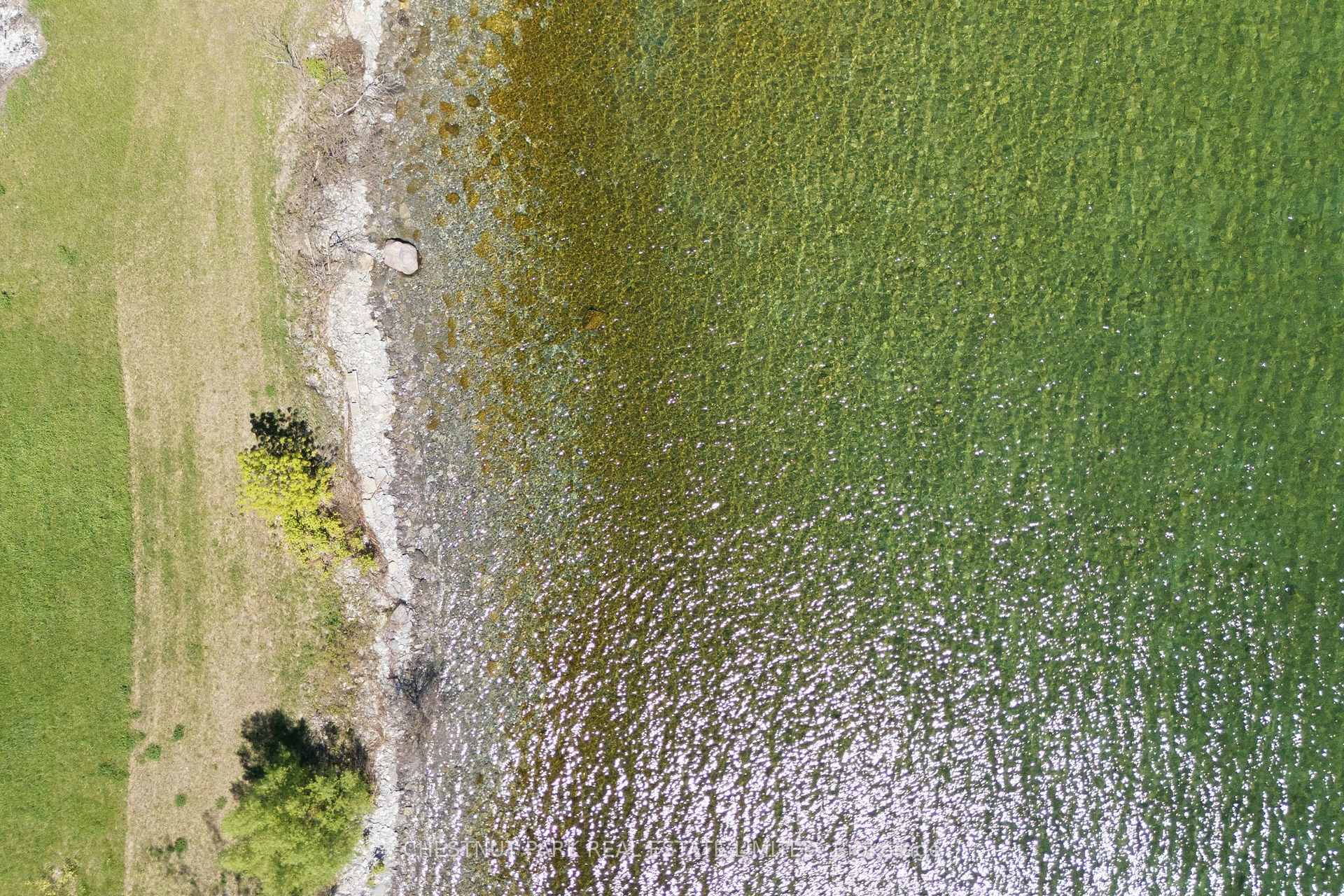 Land/Vacant Land's Image 16
