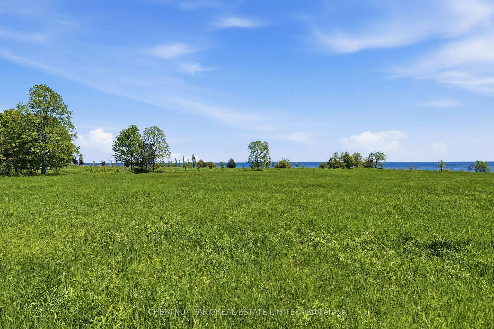 Land/Vacant Land's Image 9