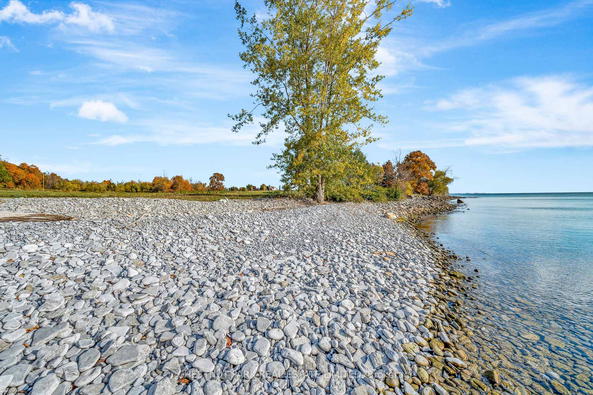 Land/Vacant Land's Image 25