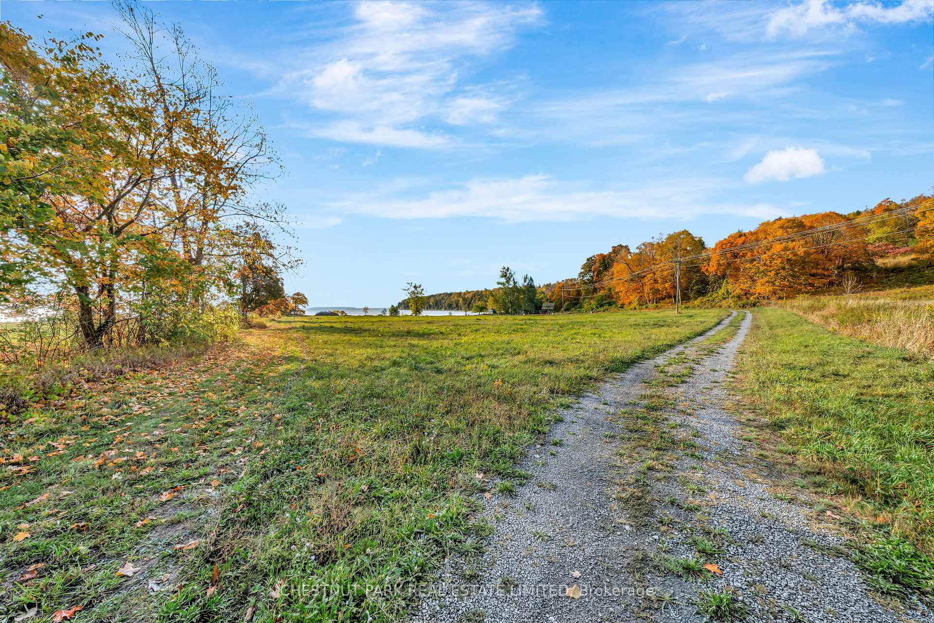 Land/Vacant Land's Image 23