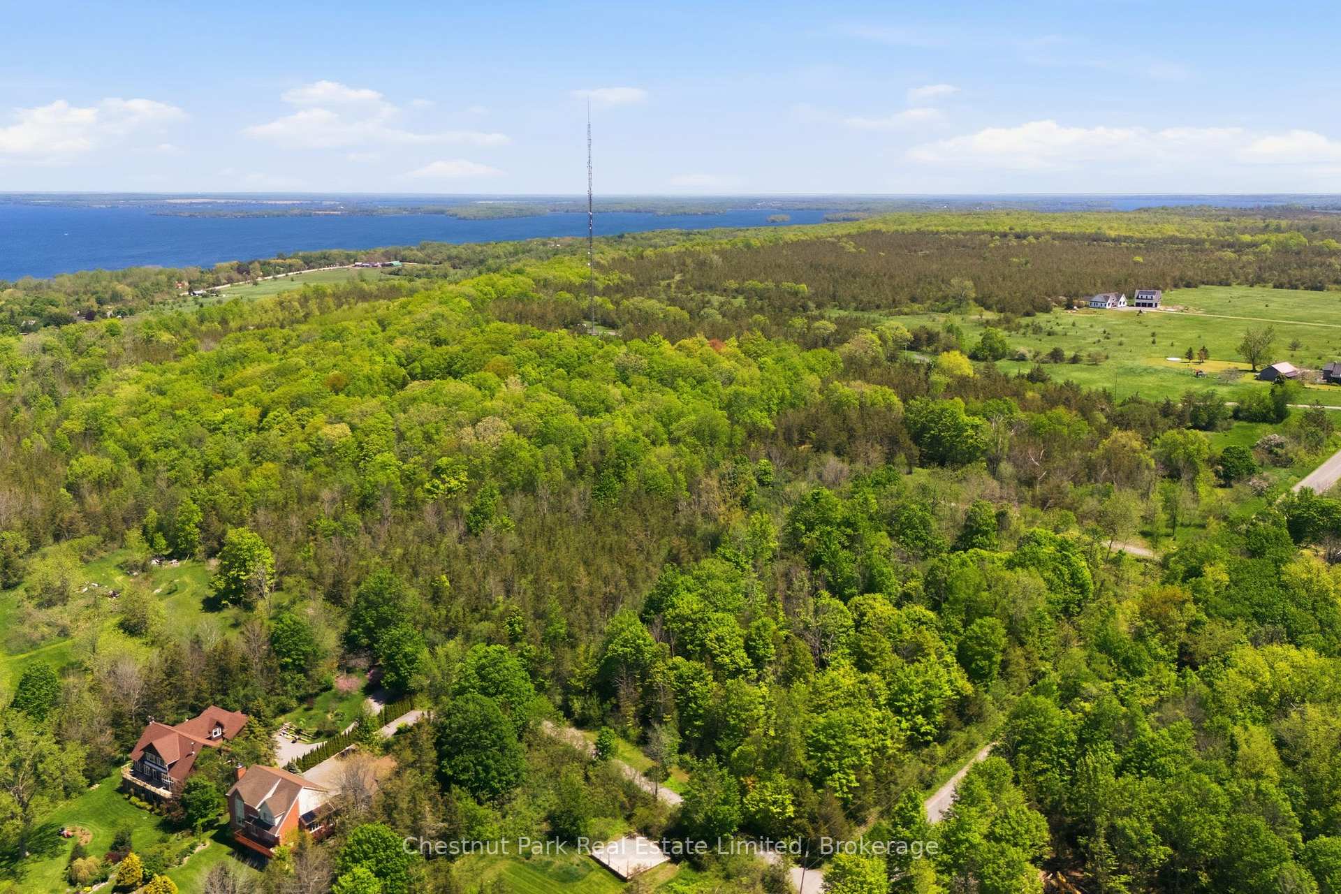 Land/Vacant Land's Image 19