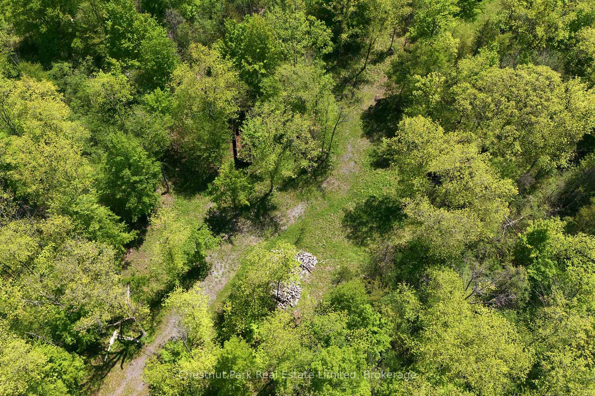 Land/Vacant Land's Image 7