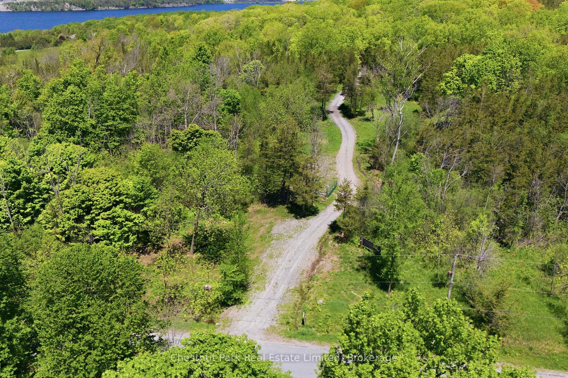 Land/Vacant Land's Image 3